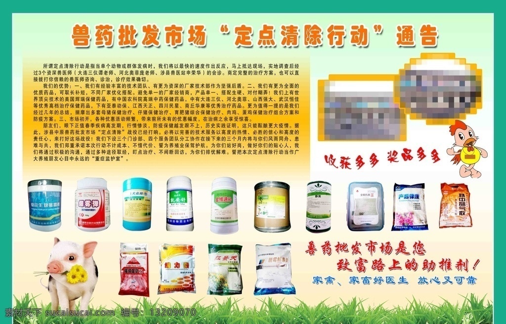 兽药彩页 兽药宣传单 猪 绿色草地 定点清除行动 卡通鸡 脱敏解毒灵 dm宣传单