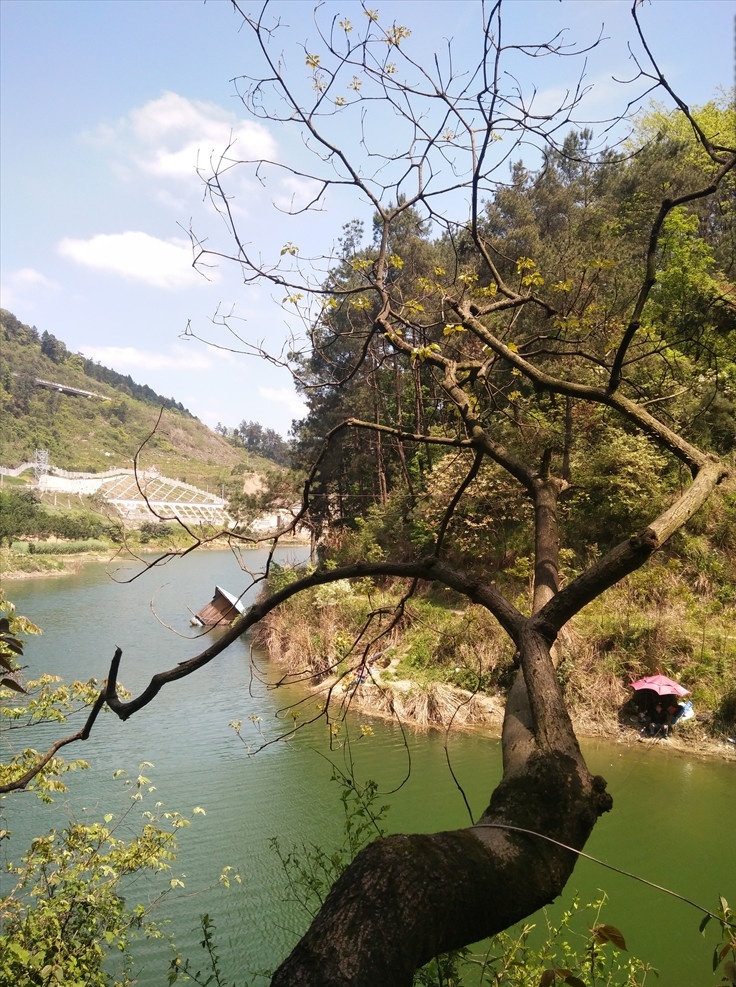 自然风景 湖泊 树 绿水青山 绿水 青山 发芽 旅游摄影
