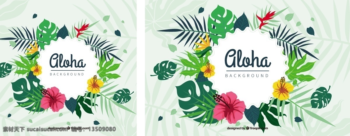 花 aloha 背景 花卉 圆形 夏季 树叶 花卉背景 热带 平 平面设计 植物 棕榈 圆背景 夏威夷 季节 热带花卉