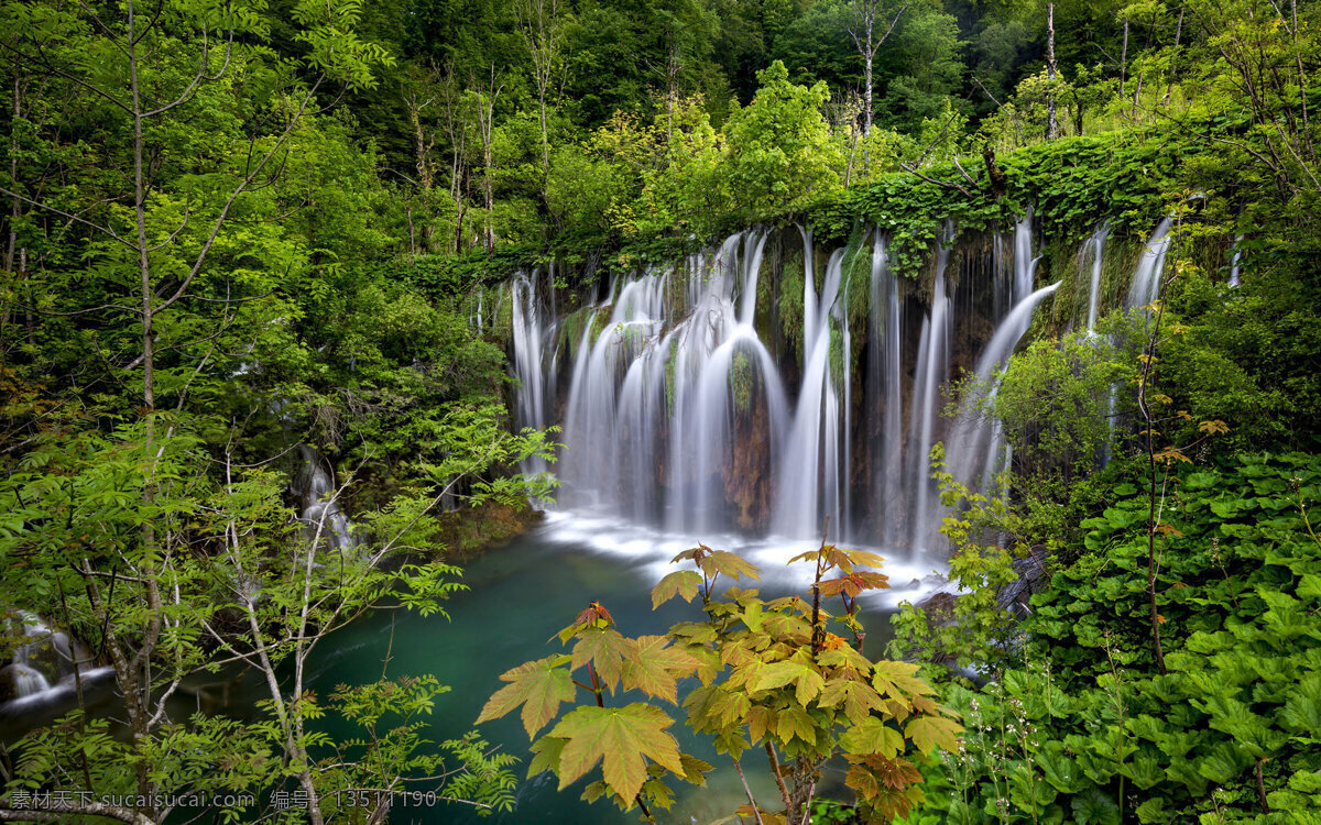 小瀑布 小树林 森林 树木 流水 河流 水源 自然景观 自然风景