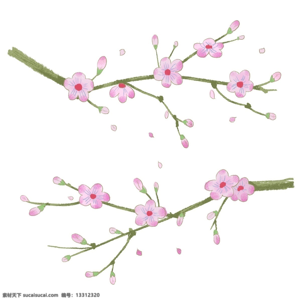 手绘 粉色 卡通 植物 花卉 花朵 梅花 白色 花纹