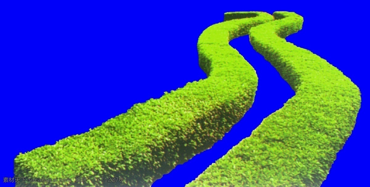 灌木 效果图 植物 配景 园林植物 配景素材 园林 建筑装饰 设计素材 3d模型素材 室内场景模型