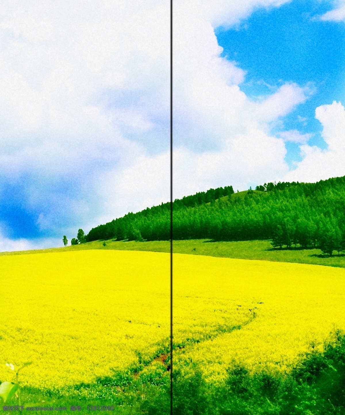 移门 图案 白云 广告设计模板 黄色 蓝天 绿色 森林 树 移门图案 移门模板 油菜花 源文件 装饰素材