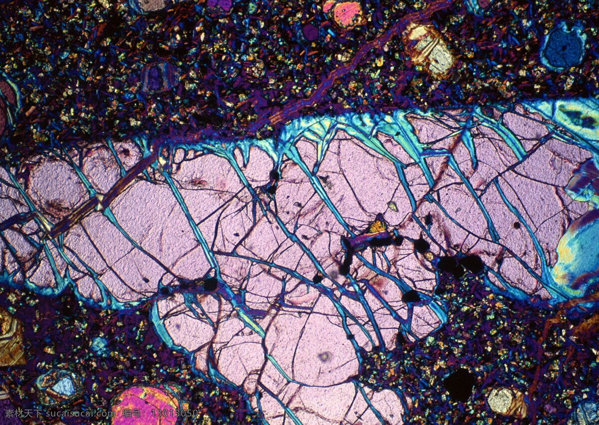 紫色块状细胞 细胞结晶图片 紫色 块状 细胞 微观世界 细胞单元 结晶 黑色
