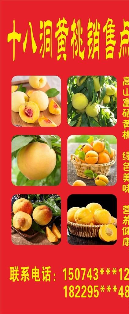 黄桃图片 展架 黄桃海报 写真 桃子 十八洞 展板 红 海报