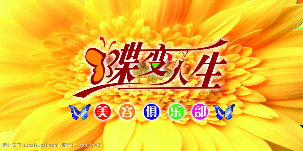p10 蝶变人生p9 画册