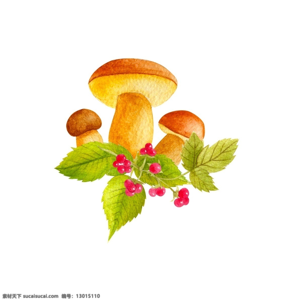 卡通蘑菇素材 水彩 叶子 蘑菇 彩色 果实 矢量素材 设计素材
