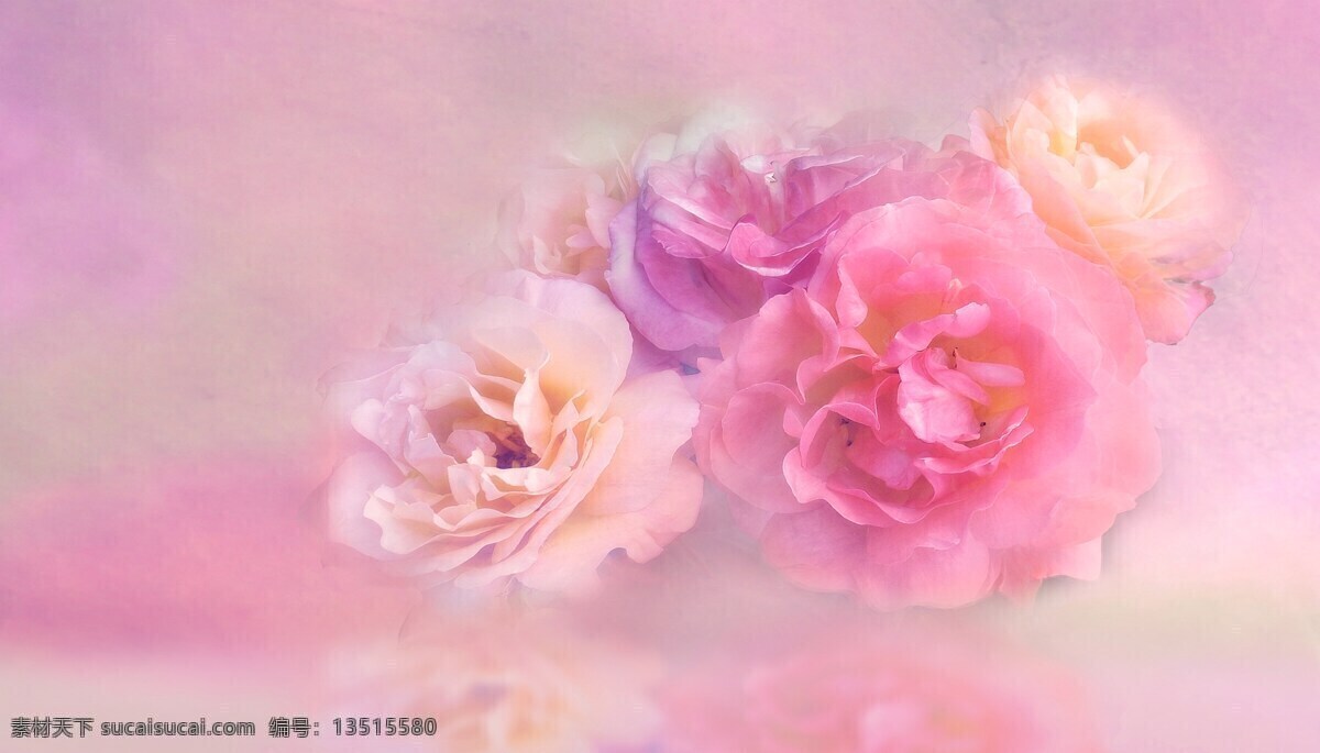 粉色 花 背景 清新 漂亮的花 花的背景图片 粉色的花 旅游摄影 国内旅游 底纹边框 背景底纹