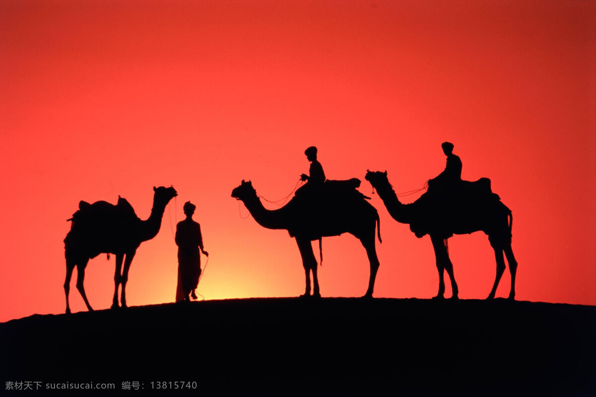 西藏 骆驼 沙漠 夕阳 国内旅游 旅游摄影