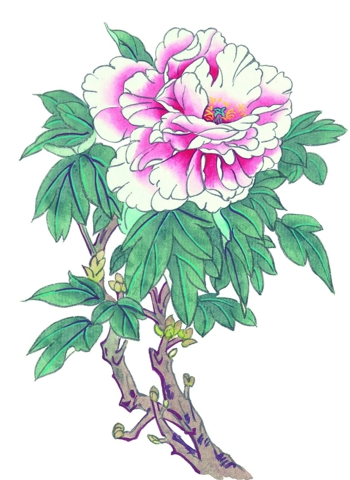国画牡丹图片 国画牡丹 国画 牡丹 中国画 国色天香 荣华富贵 花 水墨 彩色 手绘 插画 水墨画 水彩画 绘画作品 中国风专辑 文化艺术 美术绘画