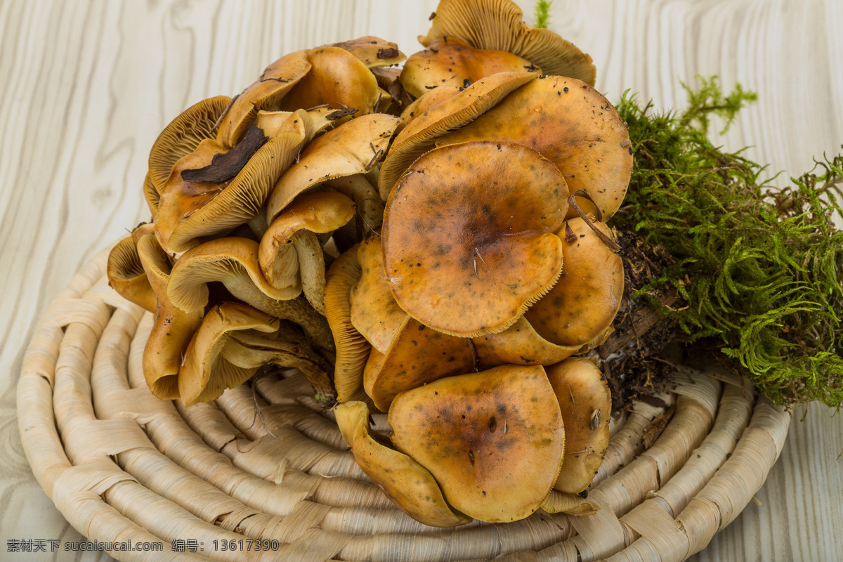 木板 上 蘑菇 木板上的蘑菇 蔬菜 食物 食物原材料 餐厅美食 蘑菇图片 餐饮美食