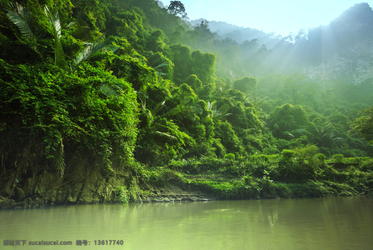 热带雨林 风景 热带雨林风景 热带植物风景 美丽风景 风景摄影 自然美景 美丽风光 山水风景 风景图片