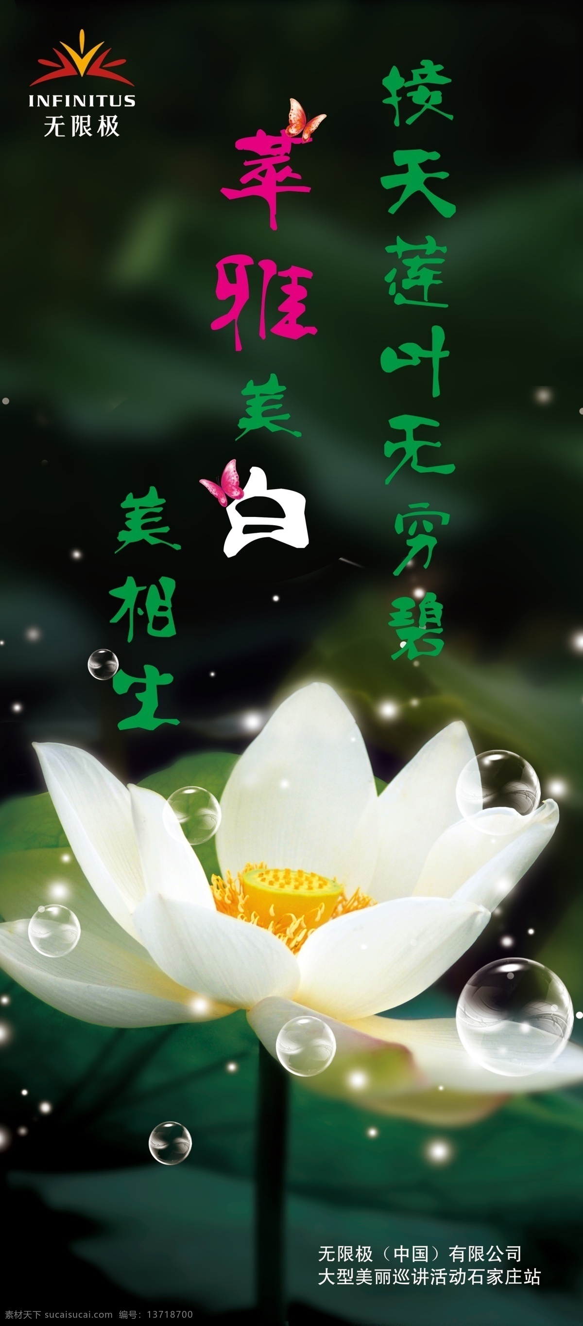 x展架 白荷花 白莲 广告设计模板 美白 无限极 源文件 无限 极 展架 模板下载 无限极展架 接 天 莲叶 无穷 碧 翠雅 psd源文件