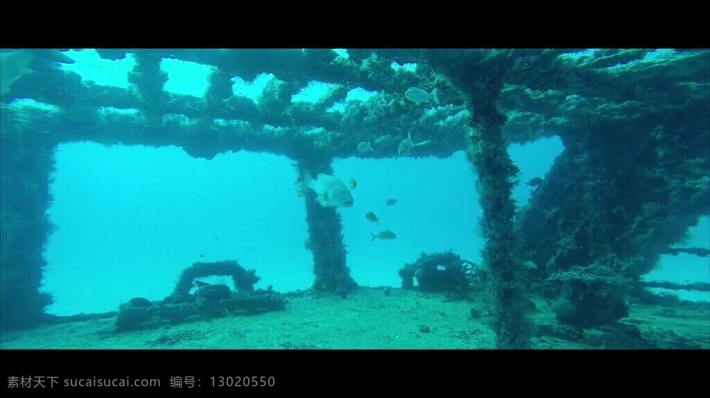 海底 世界 探险 视频 海底世界 海底视频 实拍视频 视频素材
