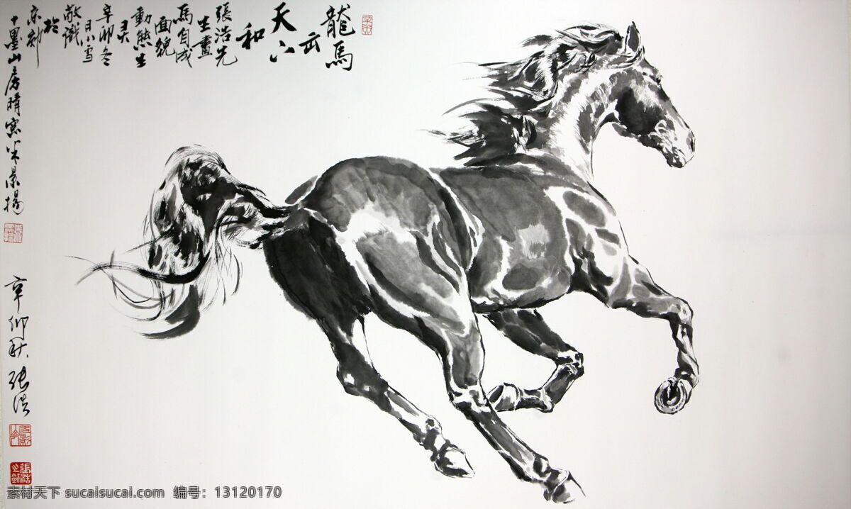 国画 马 国画马 绘画书法 马年画马 原创 设计素材 模板下载 张浩画马 张浩原创 文化艺术