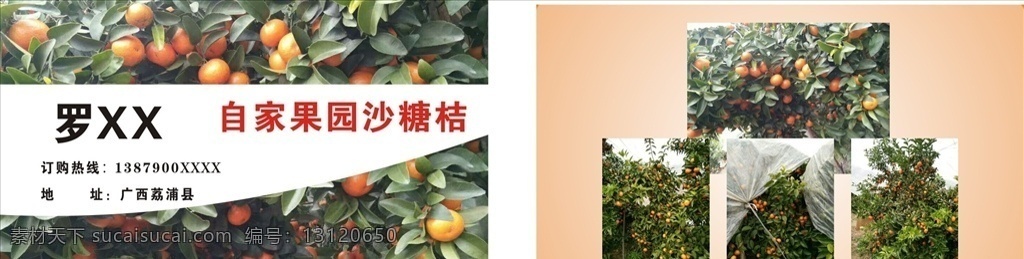 沙糖桔名片 敖金林 沙糖桔 橘子名片 水果名片 名片 vip 证卡 作品 名片卡片