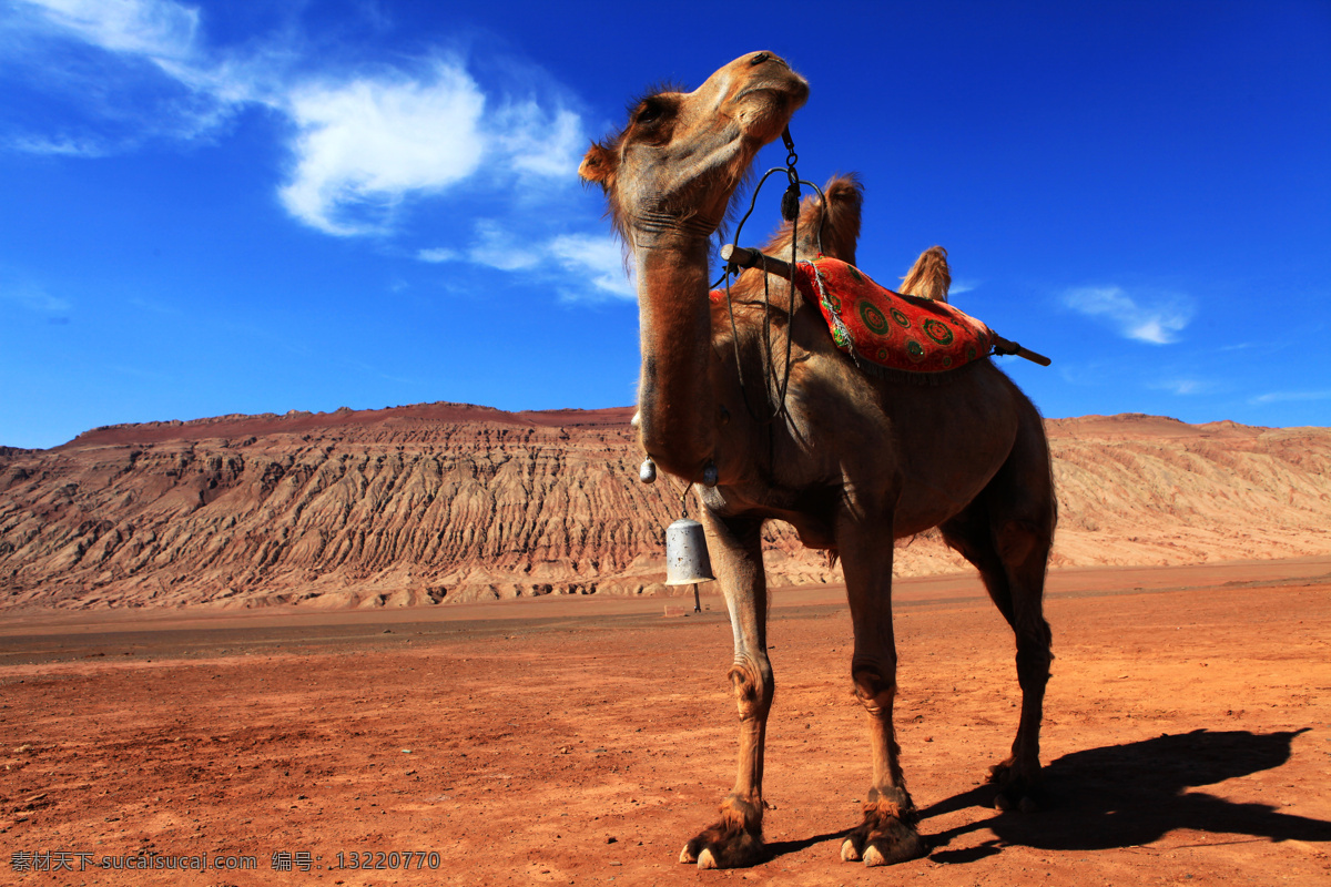 新疆 吐鲁番 火焰山 盆地 骆驼 铁扇公主 红孩儿 孙悟空 西游记 旅游摄影 国内旅游