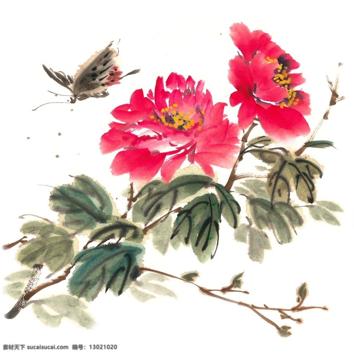 牡丹花 蝴蝶 水墨画 免 抠 水墨 国画 手绘 春天 飞舞 写意 免抠 淡雅 素淡 清幽 意境 绘画 逼真 写实 简约