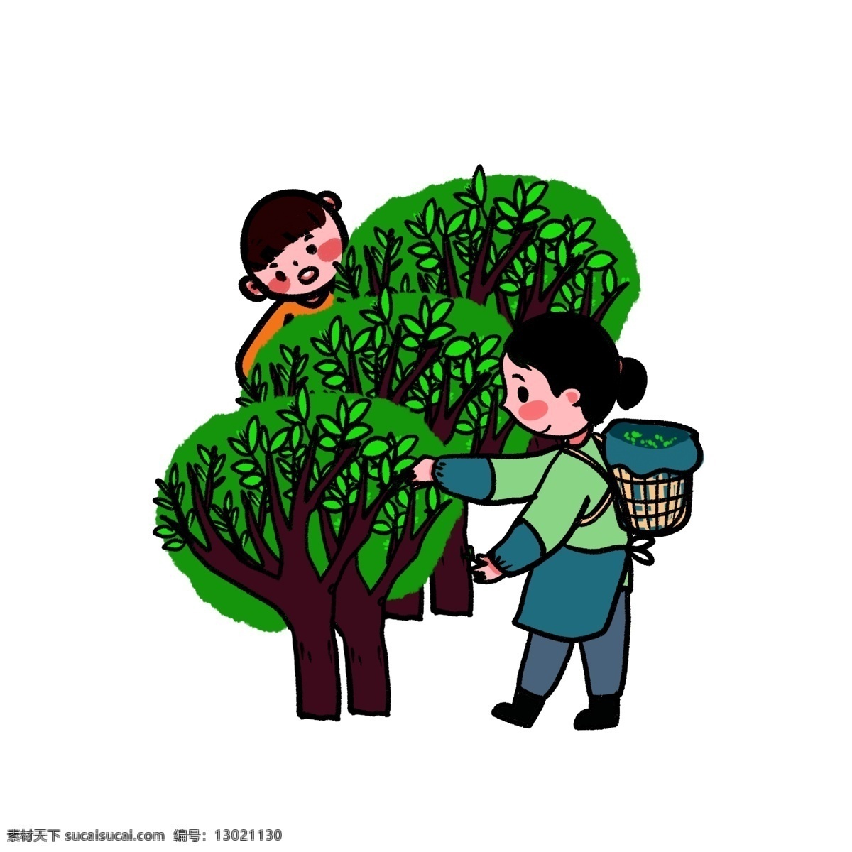 二十四节气 习俗 谷雨 摘 茶 传统 摘茶 采茶 谷雨茶 植物 农作物 茶叶 劳动 卡通人物 卡通 农民