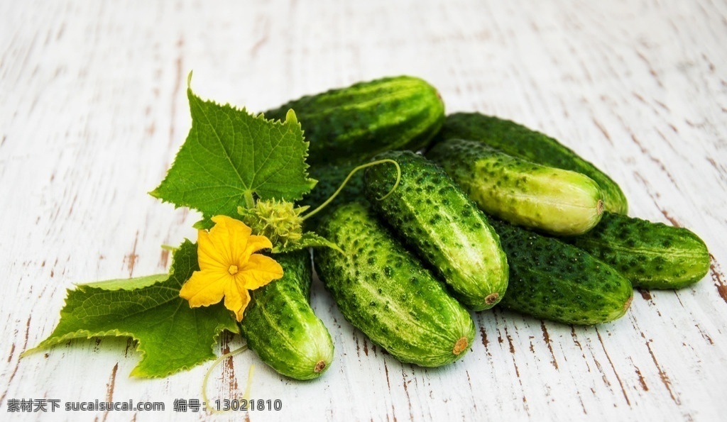 蔬菜 瓜果 瓜果蔬菜 蔬菜摄影 新鲜黄瓜 生物世界