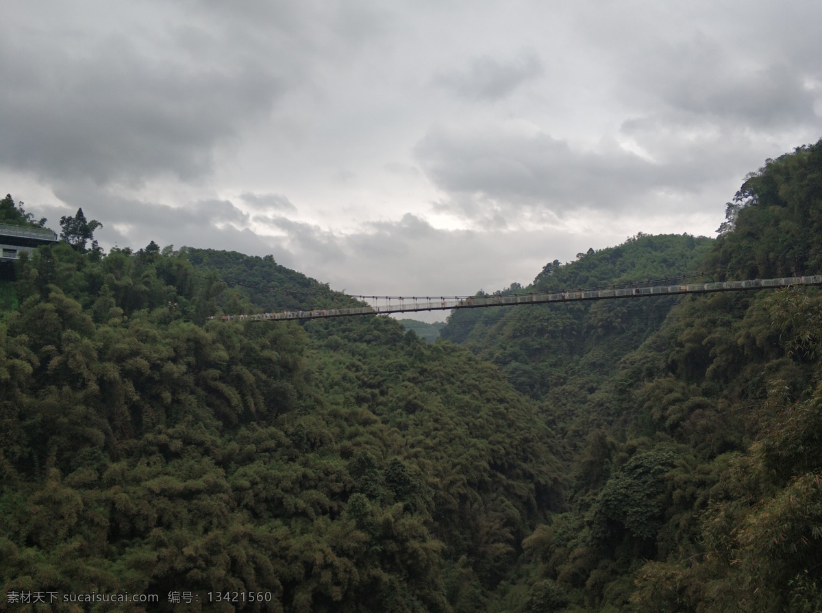 丛林 山林 吊桥 世外桃源 绿色 自然景观 山水风景