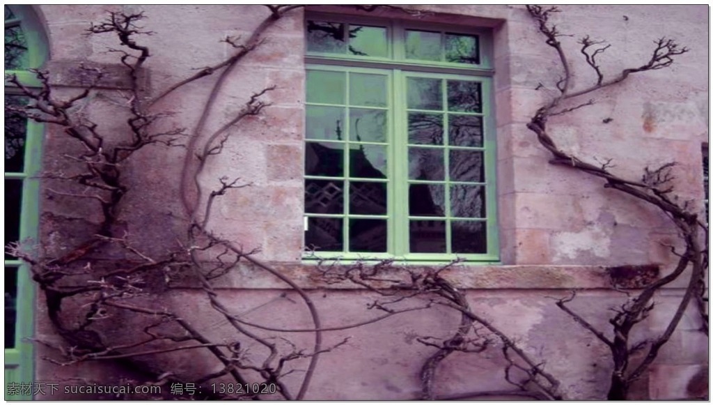 古老 城堡 树枝 高清视频素材 视频素材 动态视频素材 窗户