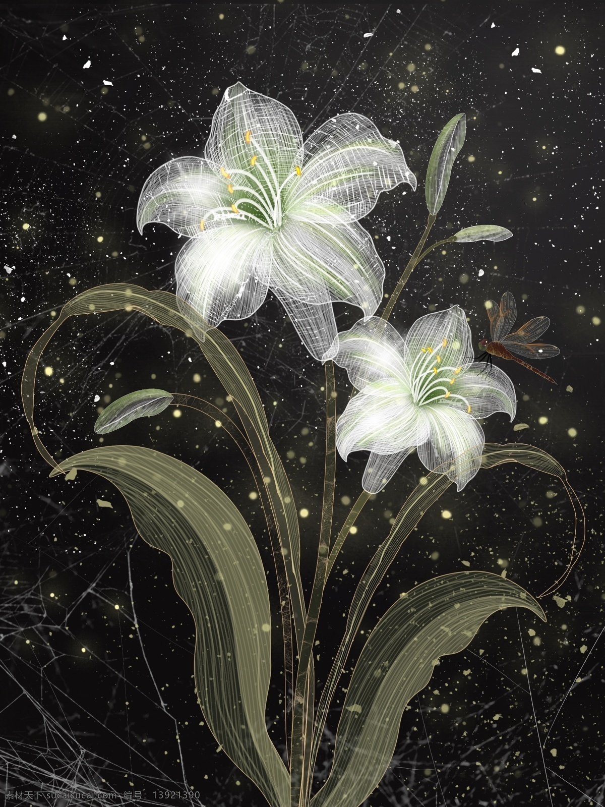 原创 独特 透明感 百合花 插画 独特透明感 透明 花 百合 手绘 透明插画