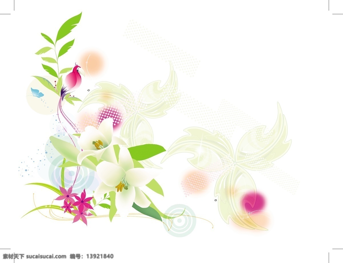 软 异国 情调 百合 鸟 花卉 矢量 背景 web 百合花 插画 创意 花 免费 图形 病 媒 生物 时尚 独特的 质量 新鲜的 设计热带的 异国情调 精致的 莉莉 摘要背景 psd源文件