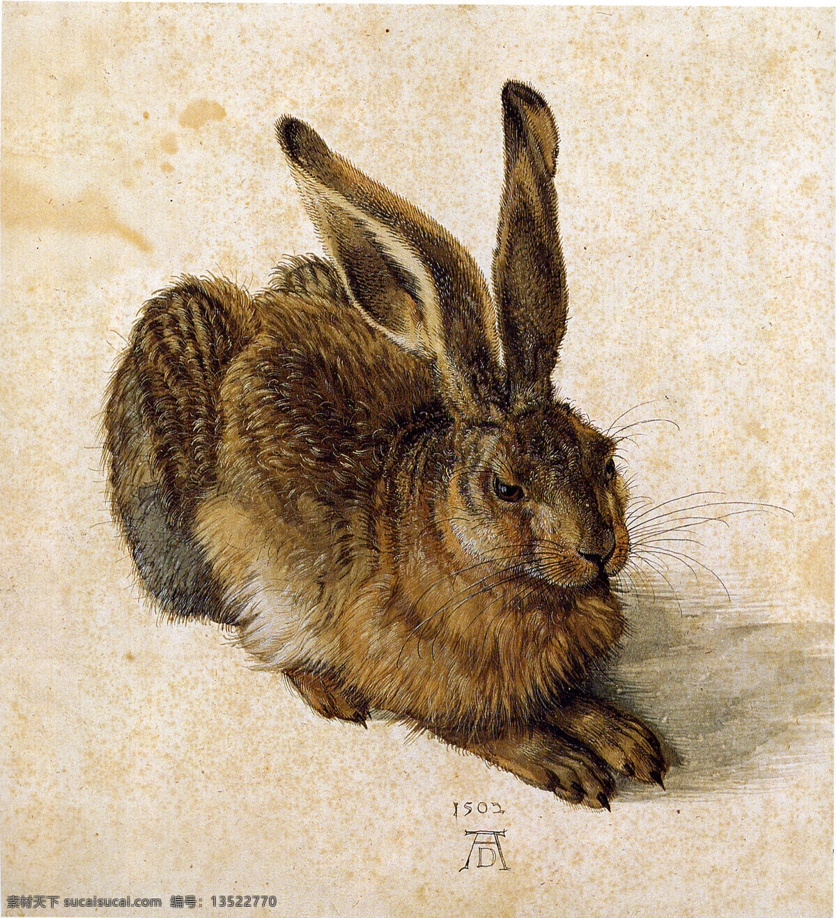 西方 传世 名画 古典 绘画书法 设计图库 文化艺术 西方传世名画 丢勒 西方知名油画 家居装饰素材