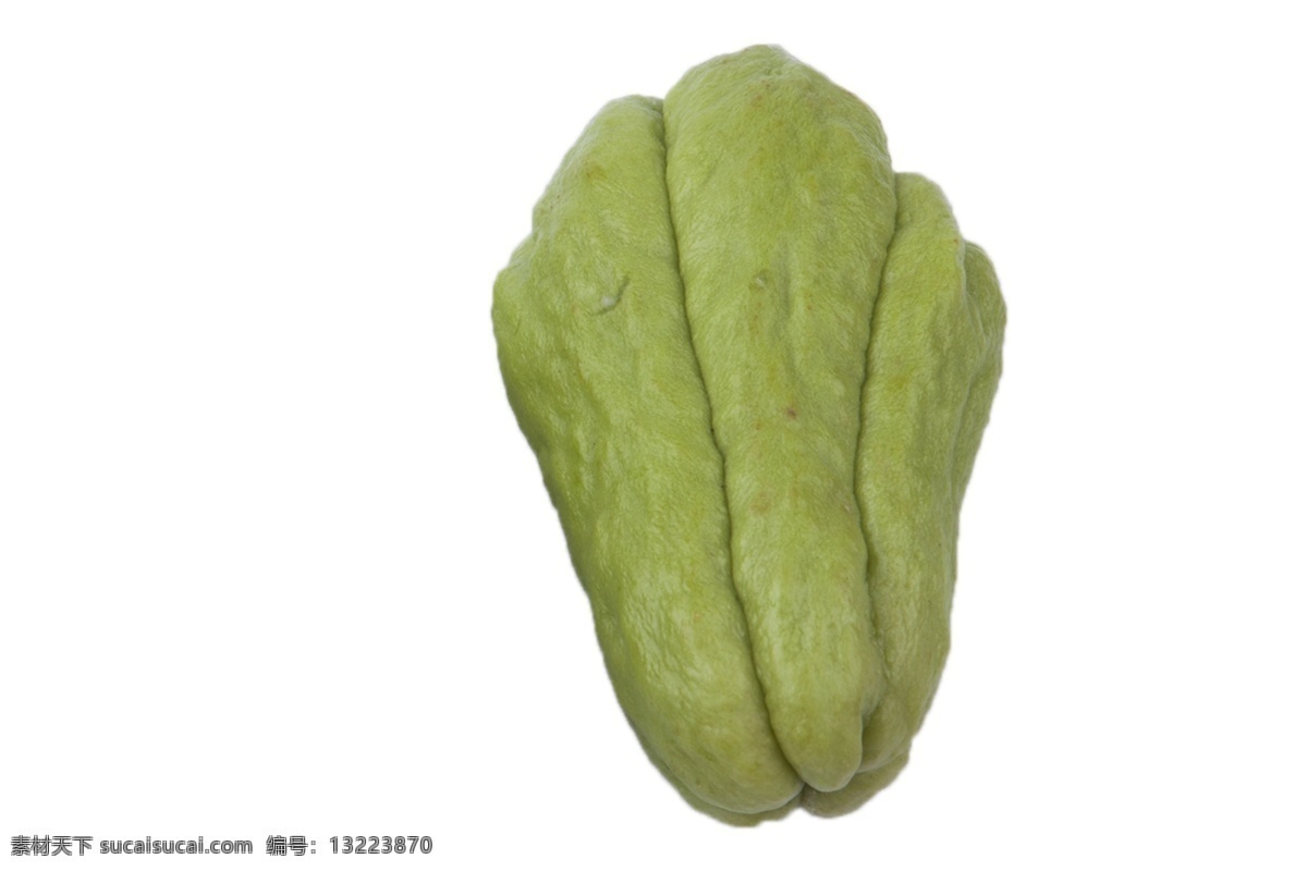 一个 纯 绿色 佛手瓜 村绿色 新鲜 蔬菜 美味 植物 种植 农家 洋丝瓜 寿瓜 餐桌 食材 食用