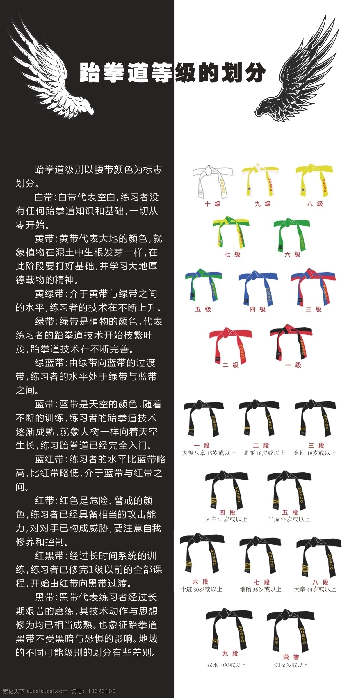 跆拳道 翅膀 等级 分段 黑白图 矢量 体育运动 文化艺术 模板下载 psd源文件