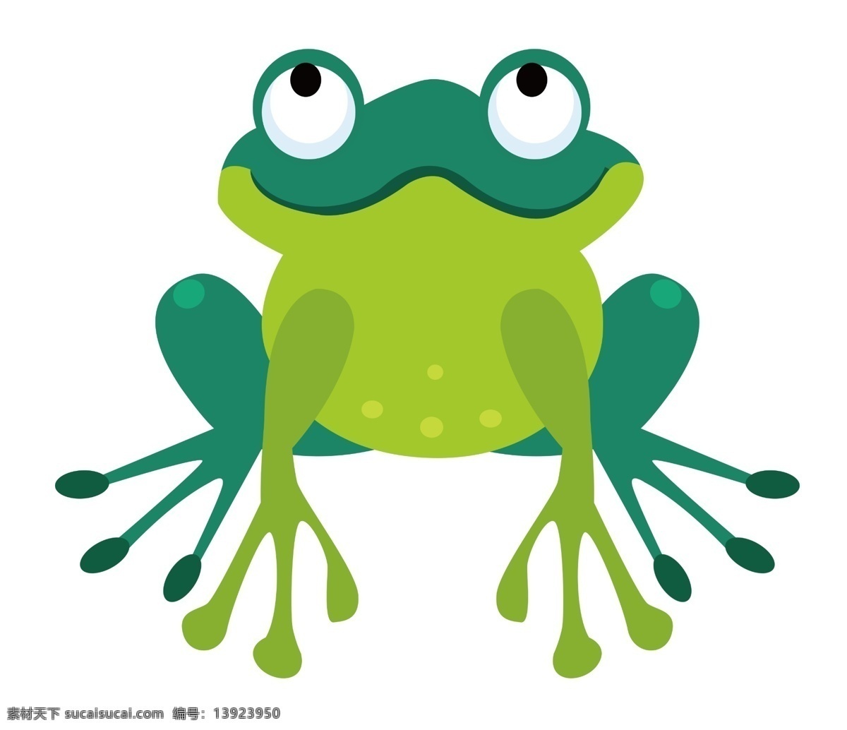 可爱 大 眼睛 青蛙 绿色 动物