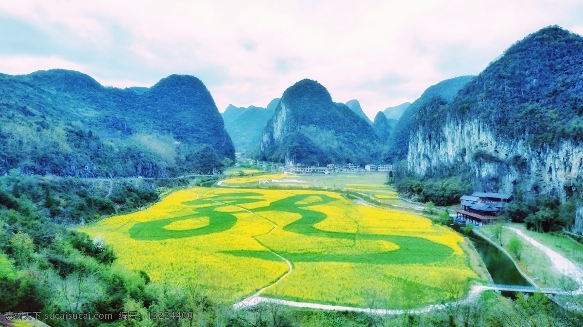 龙子 稻田 山水田园 油菜花开 龍 自然景观 山水风景