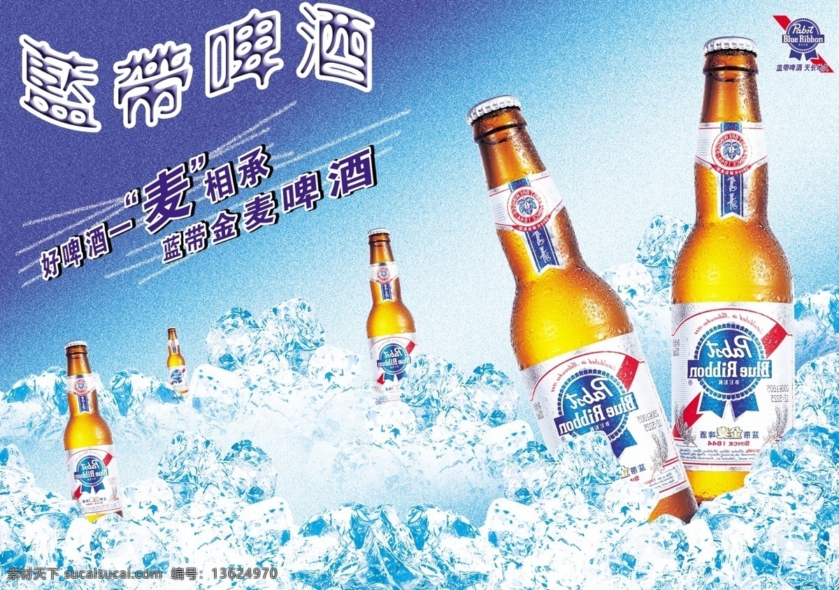 蓝带 啤酒 广告 好 麦 相承 蓝带金麦啤酒 psd源文件
