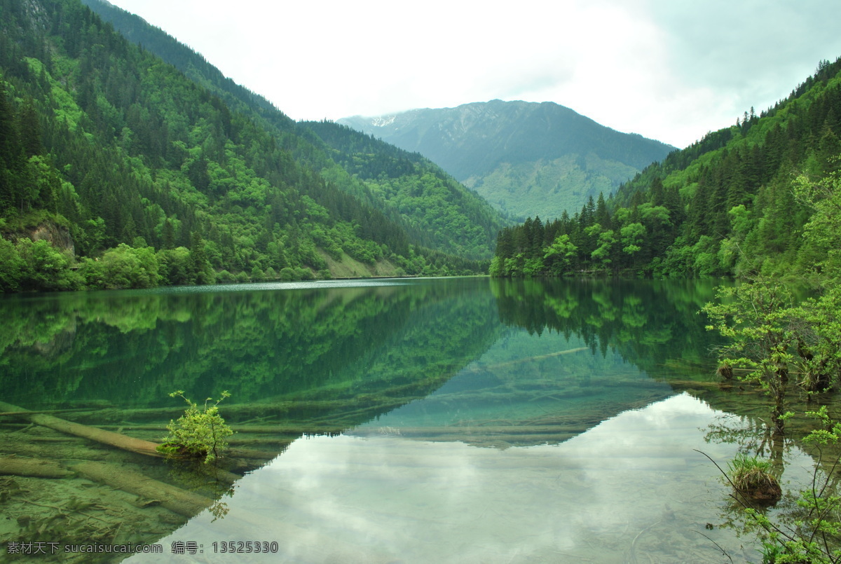 四川九寨沟 四川山水 四川 九寨沟 九寨沟风景 九寨沟山水 山水 树木 旅游摄影 国内旅游