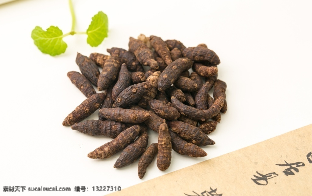 香附图片 香附 莎草 香附子 雷公头 中药 中药材 药材