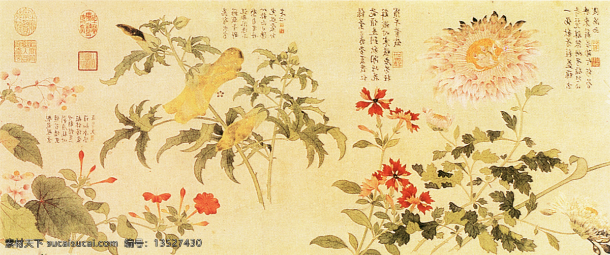 九秋图b 花鸟画 中国 古画 中国古画 设计素材 花鸟名画 古典藏画 书画美术 黄色