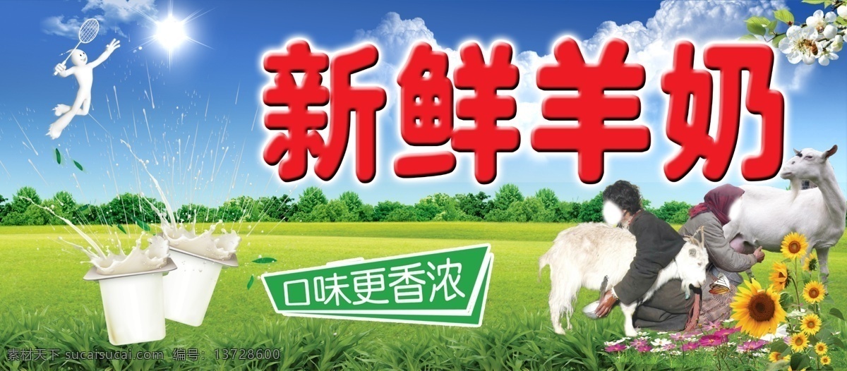 挤羊奶 新鲜羊奶 羊奶 太阳 草地 蓝天 psd素材 分层 源文件