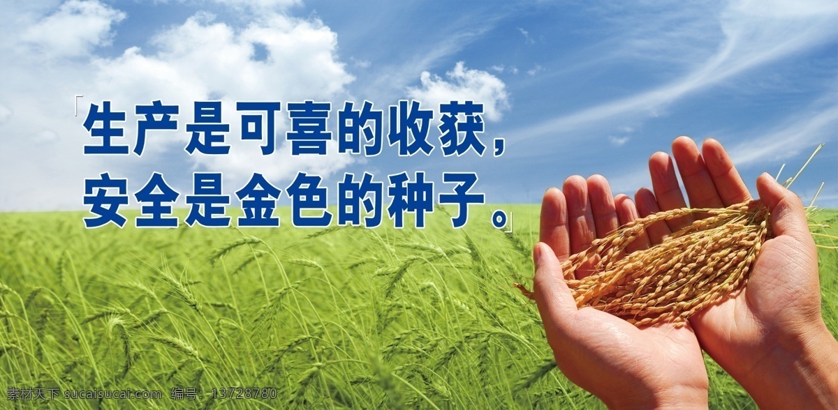 生产安全背景 生产 可喜 收获 安全 金色 种子 蔚蓝的天空 白云 生长的麦子 手 捧 成熟 小麦 背景素材 分层 源文件