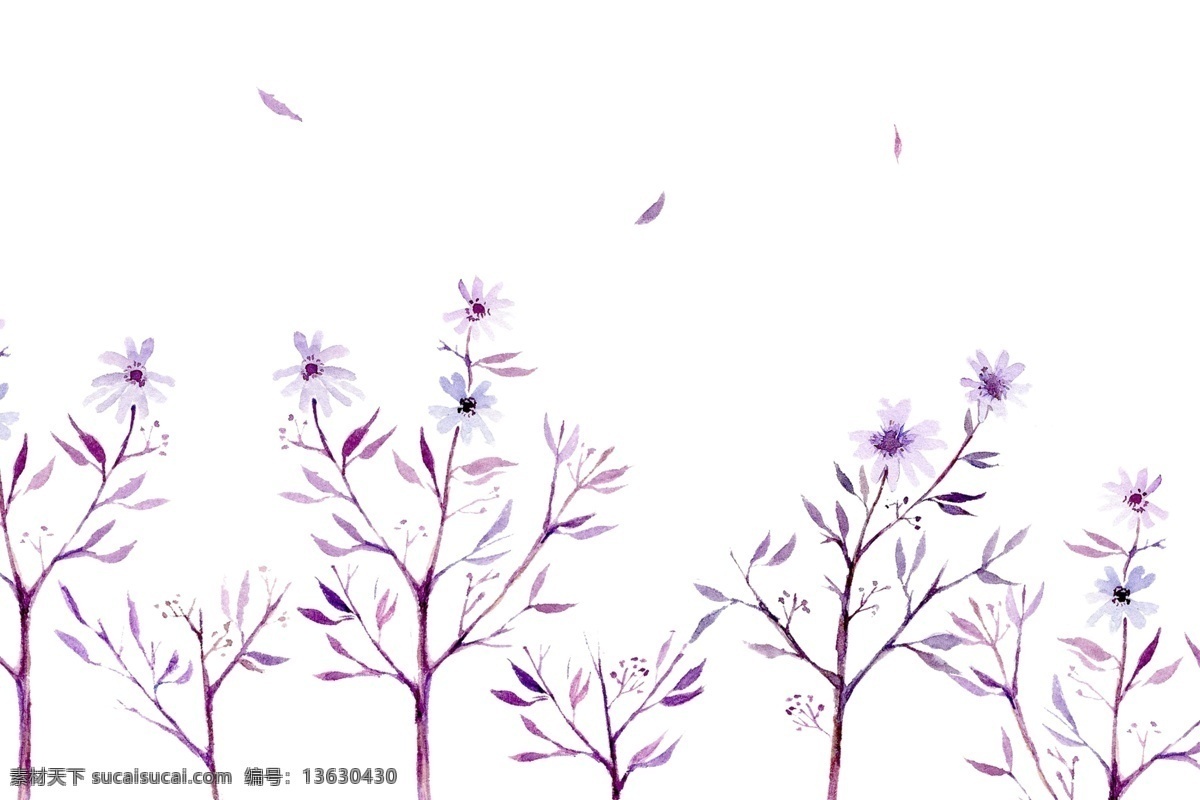 水彩 花枝 卡通 插画 漂亮的水彩花 卡通插画 花朵插画 水彩花插画 花朵 鲜花 花束 紫色的水彩花