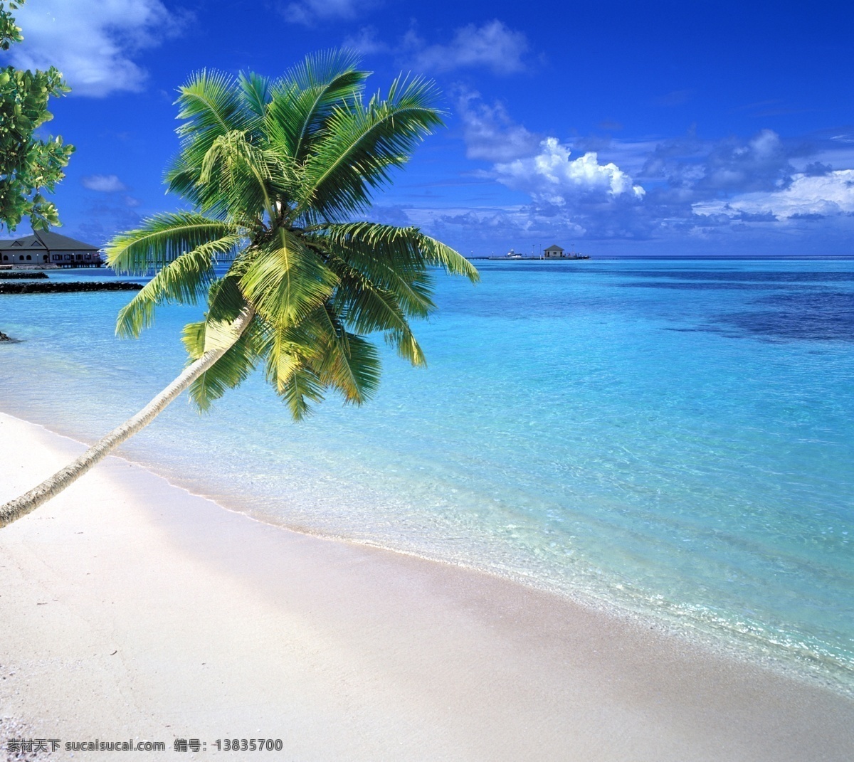 海南风景合成 椰树 海水 沙滩 分层 风景 源文件库