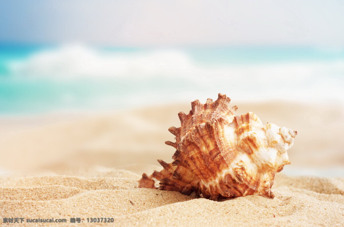 海螺 沙滩 海滩 沙粒 海边 海浪 浪花 大海 海水 唯美 静物 海边背景 大海风光 风景图 自然景观 自然风景