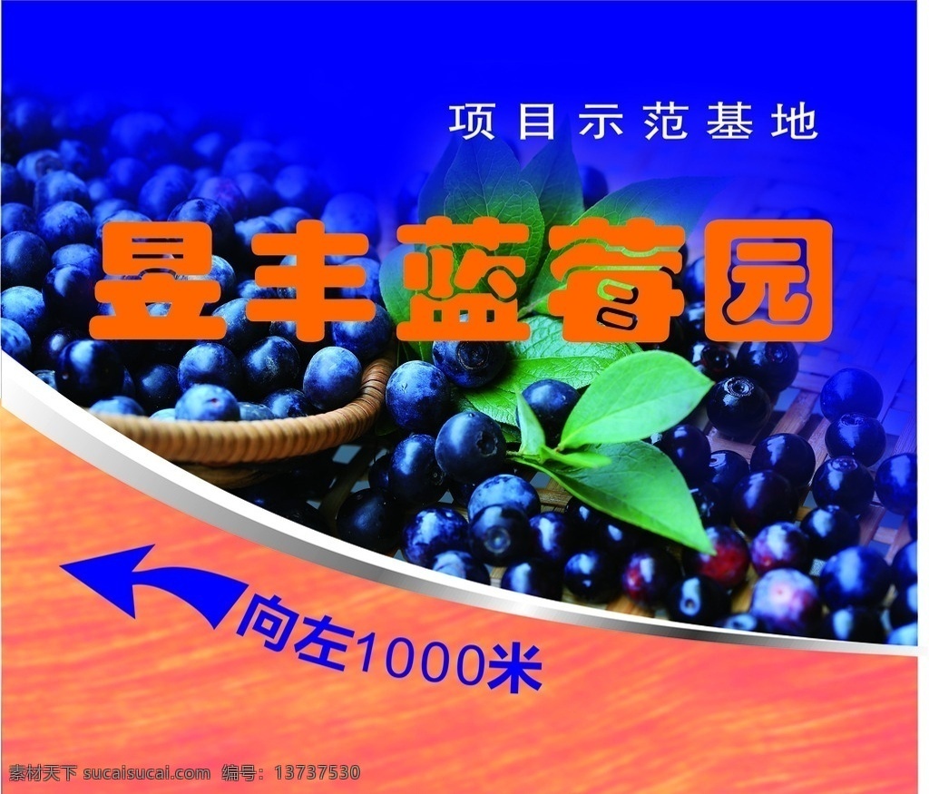 蓝莓采摘海报 蓝莓 蓝莓海报 蓝莓广告 蓝莓水果 水果蓝莓 水果 蓝莓瓶贴 蓝莓展板 蓝莓招贴 水果店蓝莓 蓝莓摄像 蓝莓宣传 蓝莓养颜 蓝莓果汁 蓝莓专卖 蓝莓基地 蓝莓节 蓝莓素材 高清蓝莓 蓝莓标签 蓝莓图片 蓝莓包装 蓝莓采摘 吃蓝莓 美味蓝莓 超市蓝莓 新鲜蓝莓 蓝莓挂图 蓝莓种植