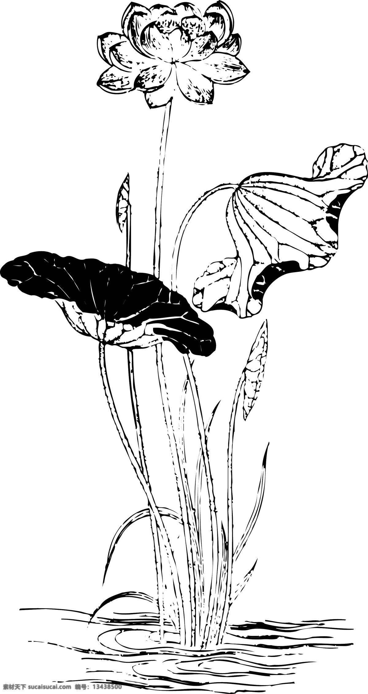 完整 荷花 藕 水墨画 矢量图 完整的 水墨画矢量图 花纹花边 底纹边框 矢量