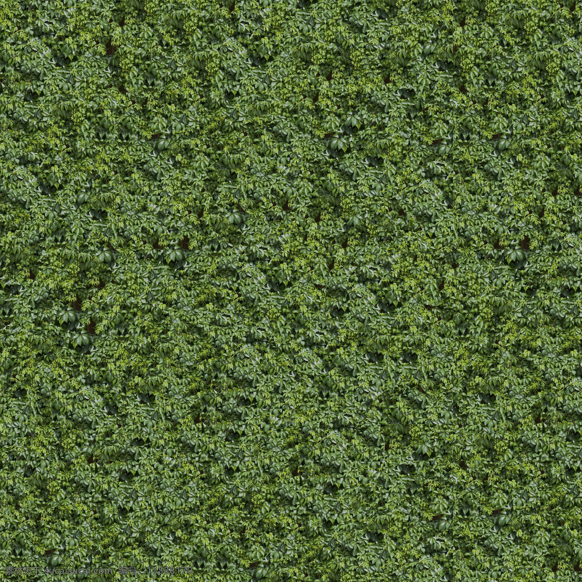 高 精细 篱墙 形状 树藤 植物模型 花卉草 3d模型素材 动植物模型
