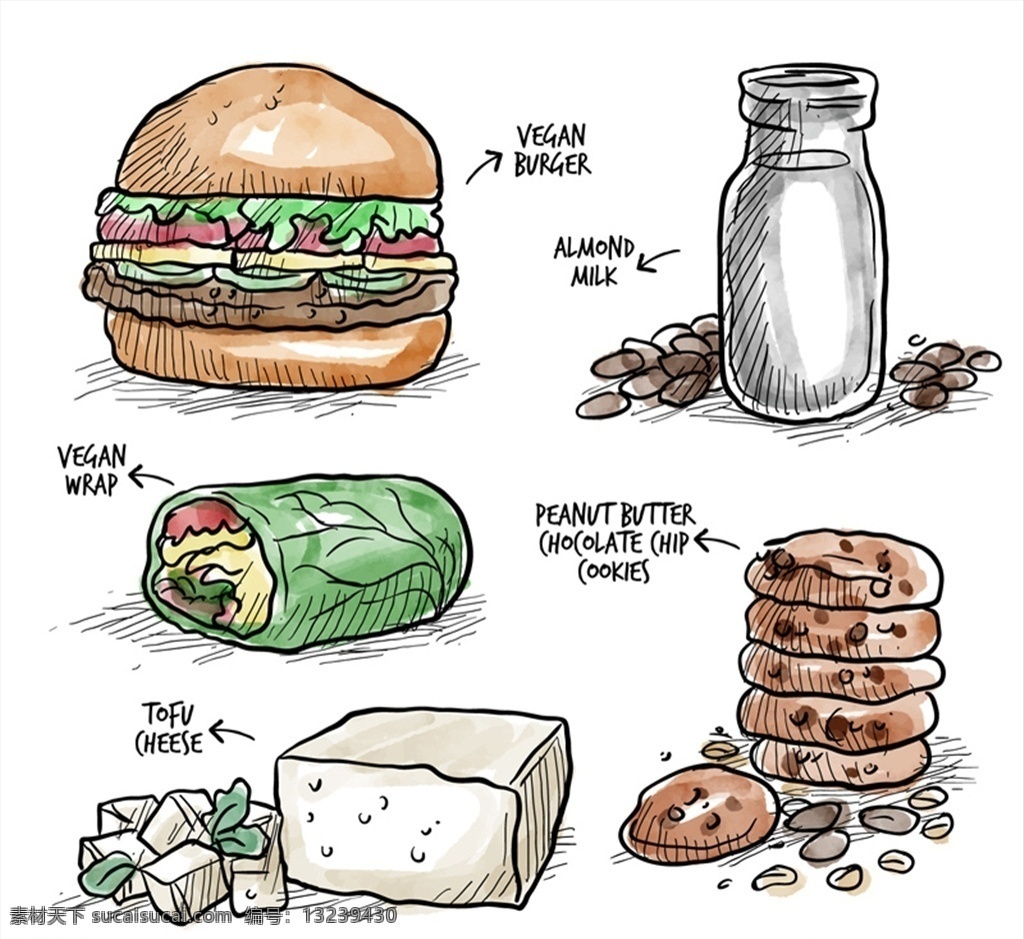 款 彩绘 美味 食物 矢量 素食汉堡 杏仁奶 蔬菜卷 巧克力 曲奇饼干 豆腐芝士 健康 素食 文化艺术 绘画书法