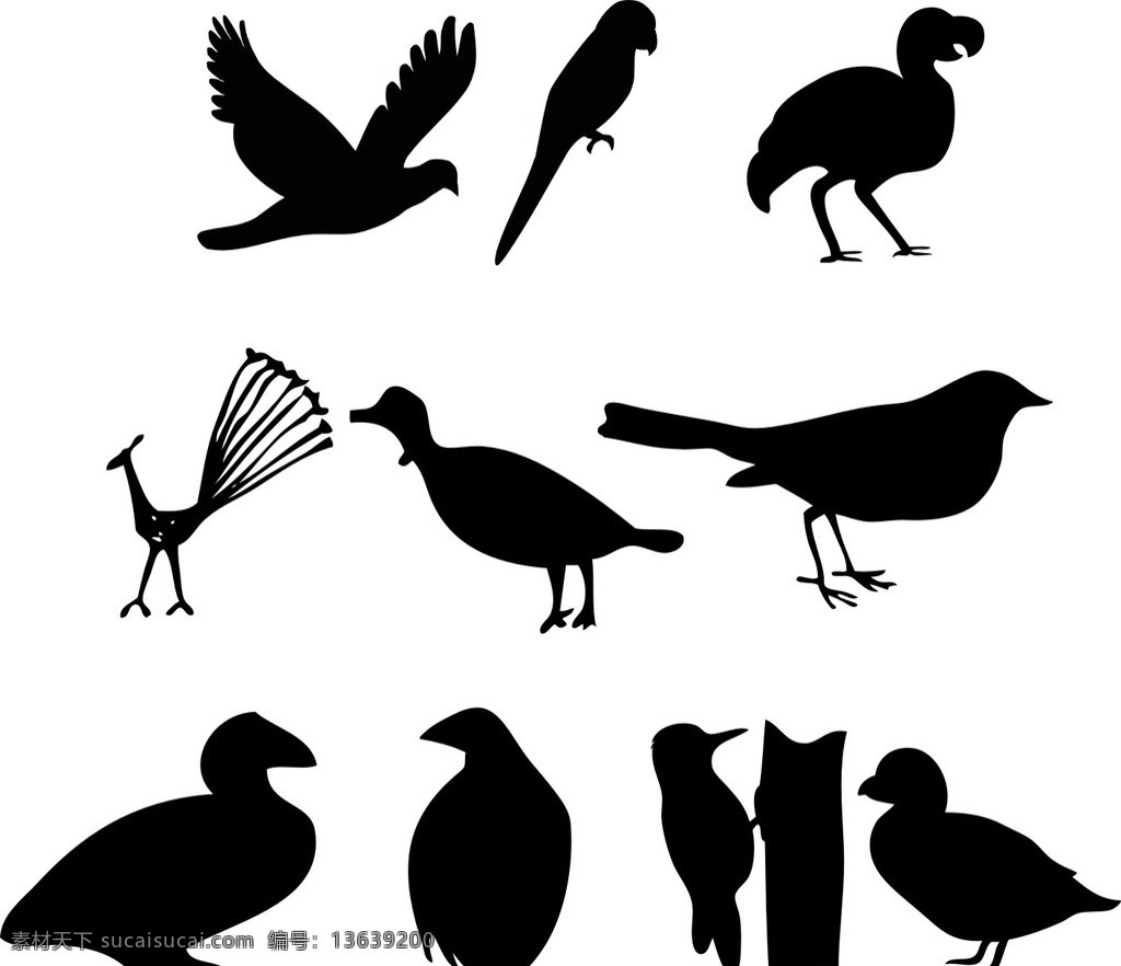 飞翔的和平鸽 鸽子 信鸽 鸟 bird 动物剪影 飞舞的鸽子 飞舞 剪影 蜻蜓 和平鸽 小鸟 矢量和平鸽 和平鸽素材 矢量素材 和平鸽剪影 剪影素材 鸭子 鹅 丹顶鹤 丹顶鹤剪影 鸭子剪影 啄木鸟 啄米鸟剪影 孔雀 孔雀剪影 锦鸡 锦鸡剪影 喜鹊 喜鹊剪影