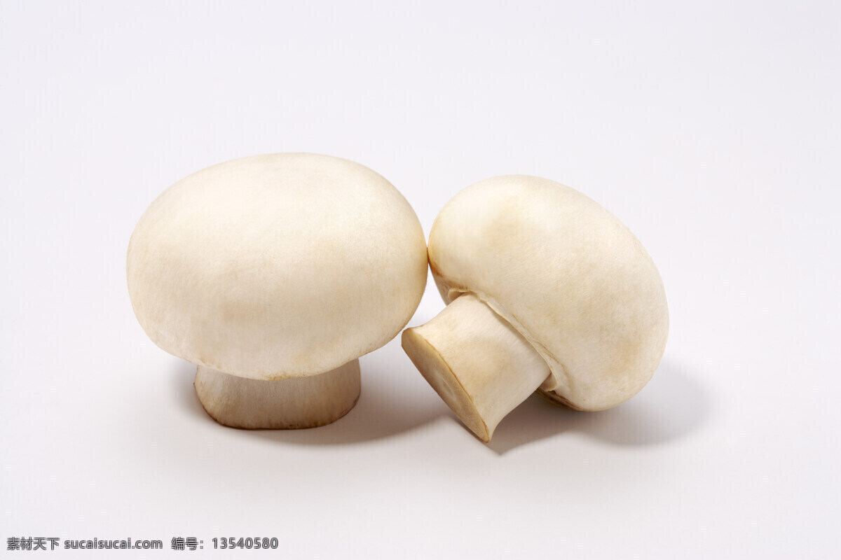 餐饮美食 健康生活 绿色生活 蘑菇 食物原料 蔬菜 水果蔬菜 白蘑菇 蘑菇特写 新鲜蘑菇 菌菇 超市蘑菇 蘑菇批发 菜篮子 风景 生活 旅游餐饮