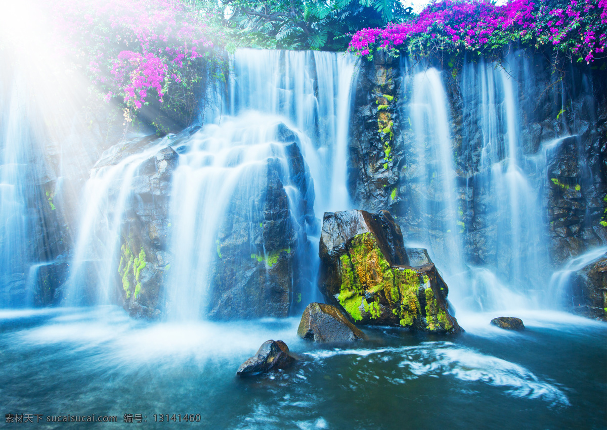 森林 草地 森林景观 树 阳光 瀑布景观 壁纸 花朵 风景 自然山水 花 自然景观 树木 自然风景