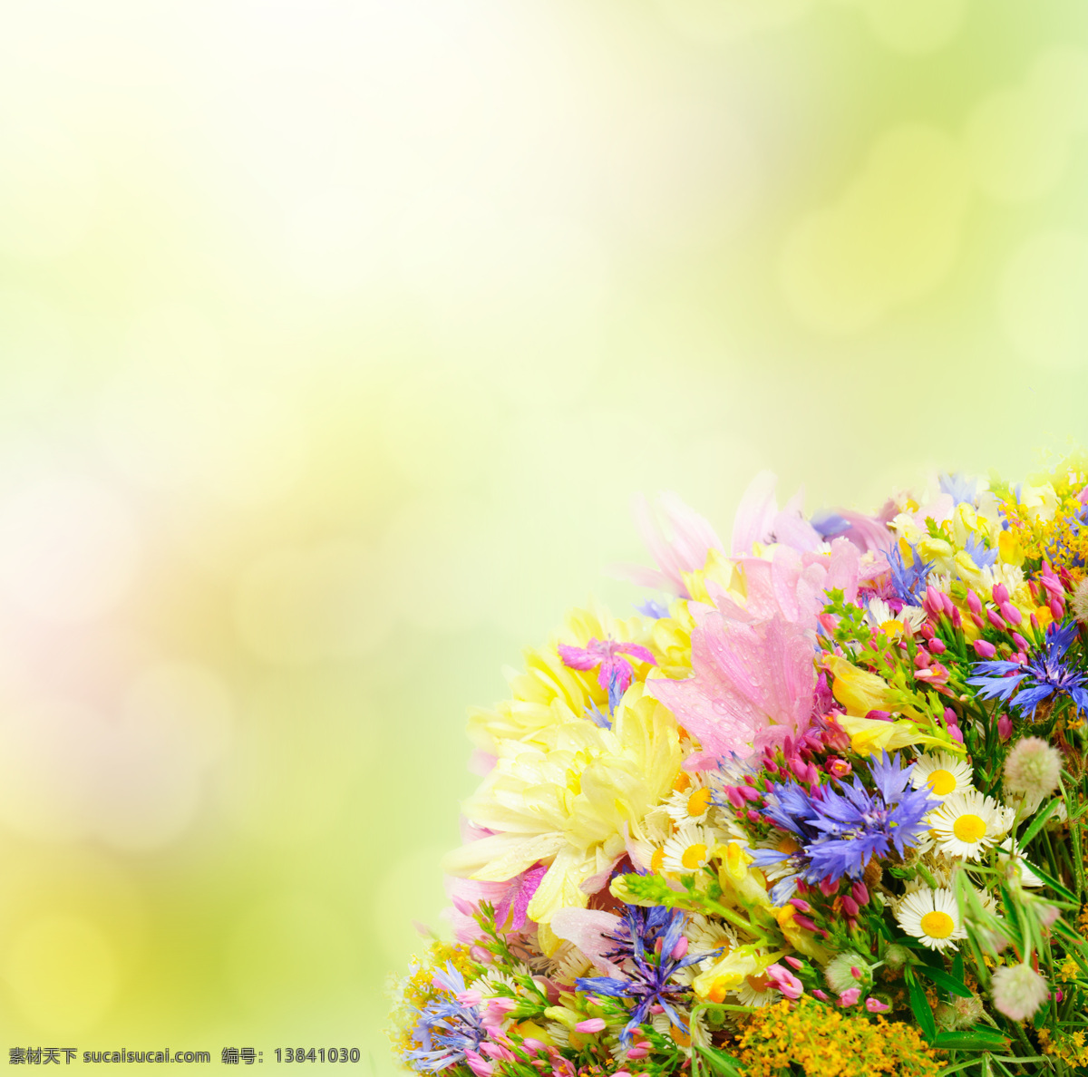 鲜花 梦幻 背景 花朵 花 叶子 绿叶 花卉 鲜花摄影 花草树木 生物世界